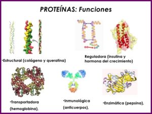 introduccion-a-la-bioquimica