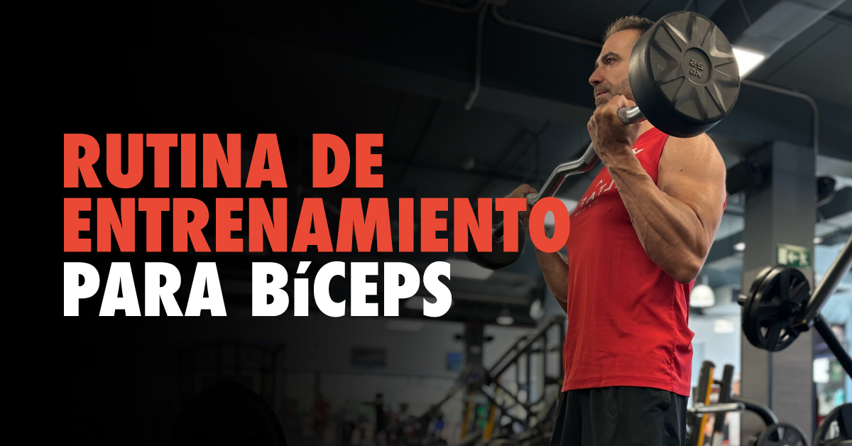 Rutina de bíceps